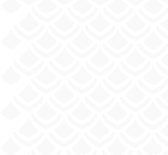 layer